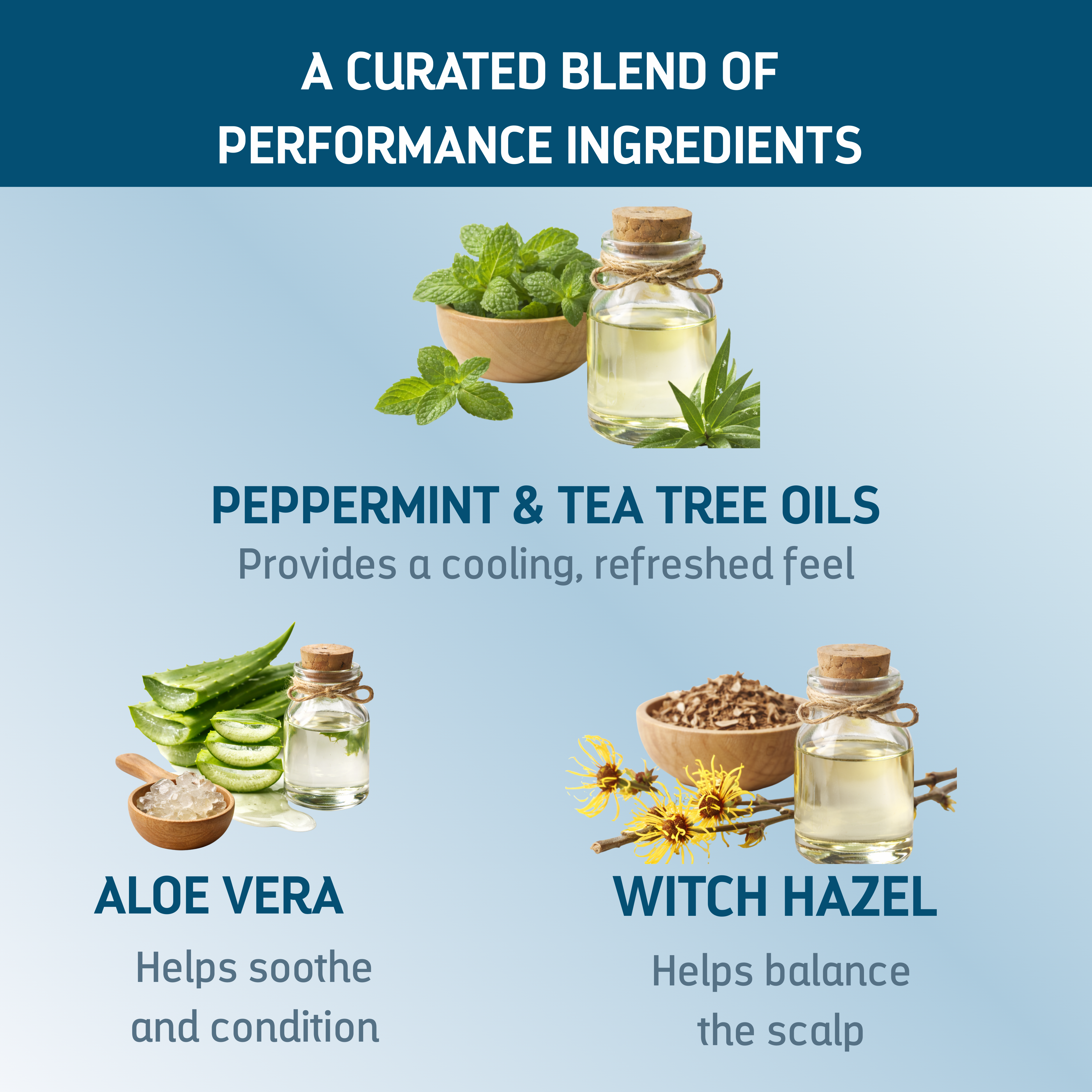 aloe vera tcm TCM Peppermint & Tea Tree Oil Scalp Tonic, Clarifying, Cooling Relief – TCM  Lifestyle